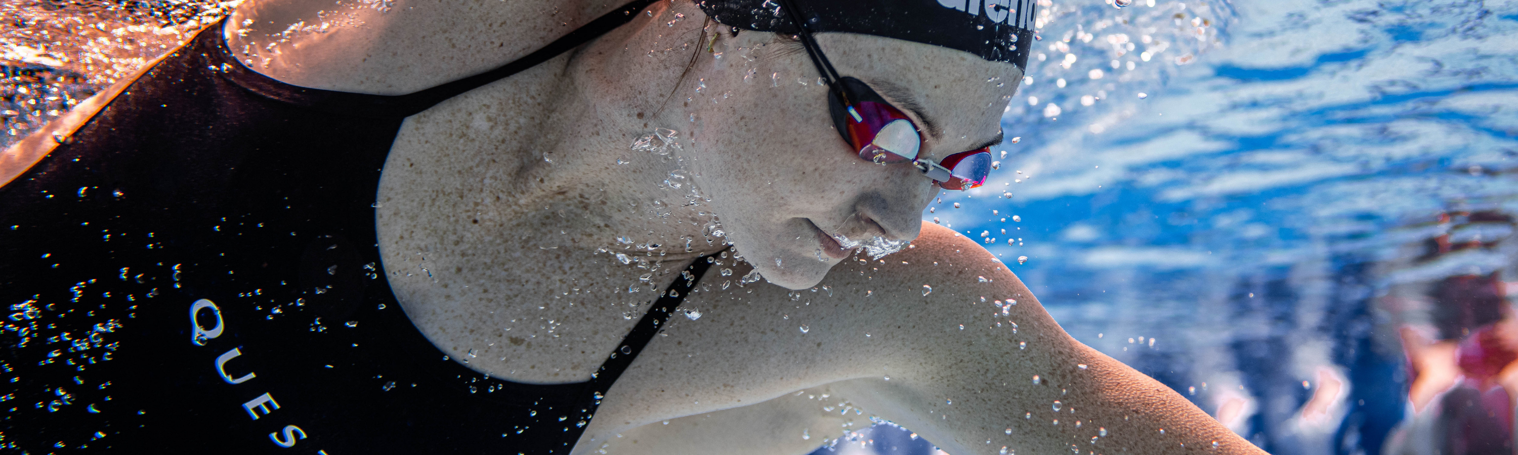 Website Header Image