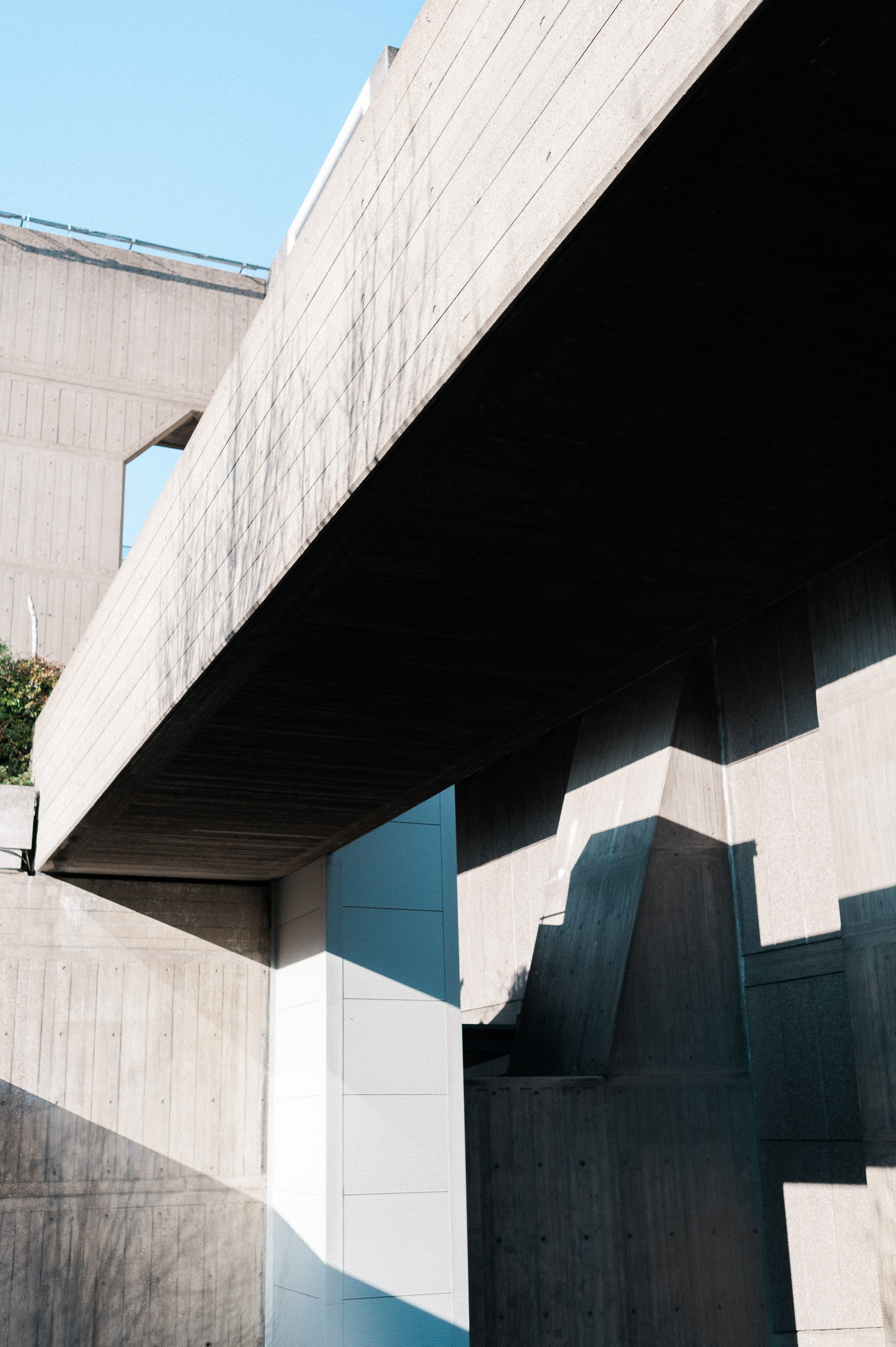 ben-sekulowicz-barclay-5grUI1ARSBQ-unsplash