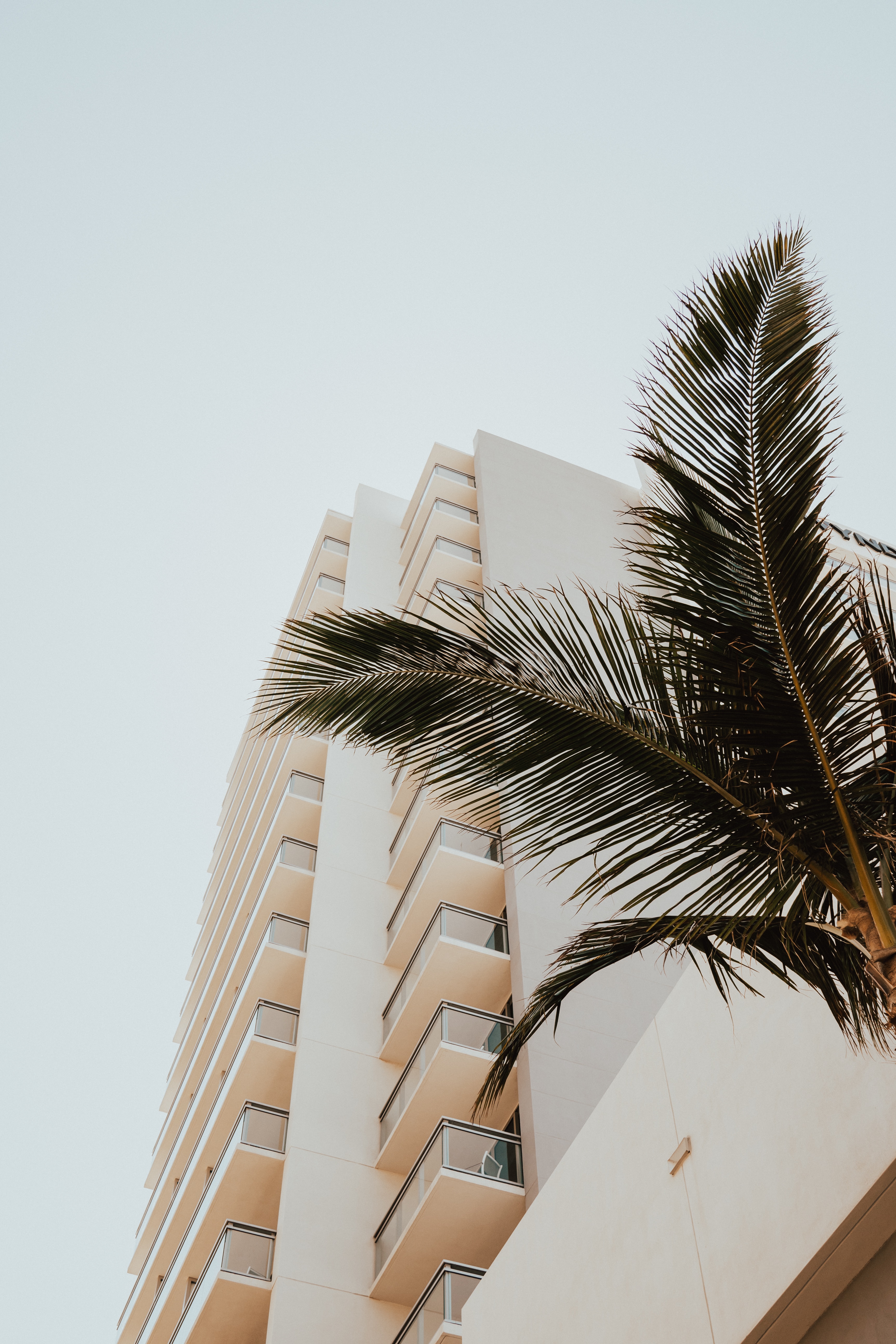 cody-board-aBPx_3gOhig-unsplash