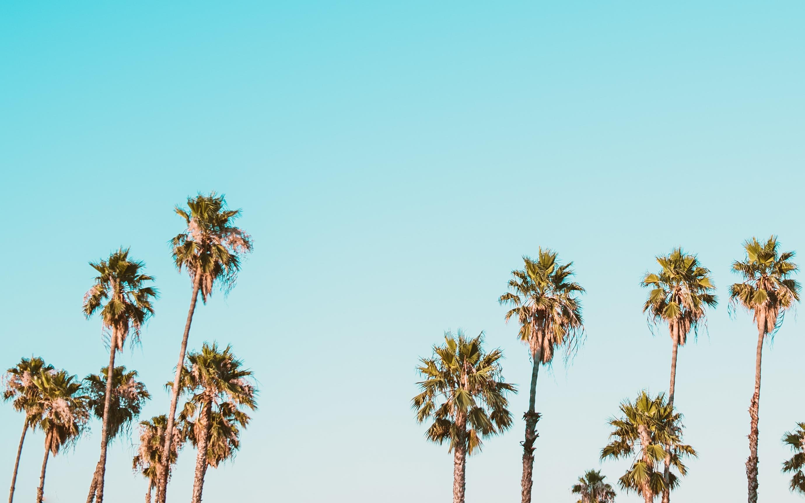 corey-agopian-5y4ljzRrDFA-unsplash