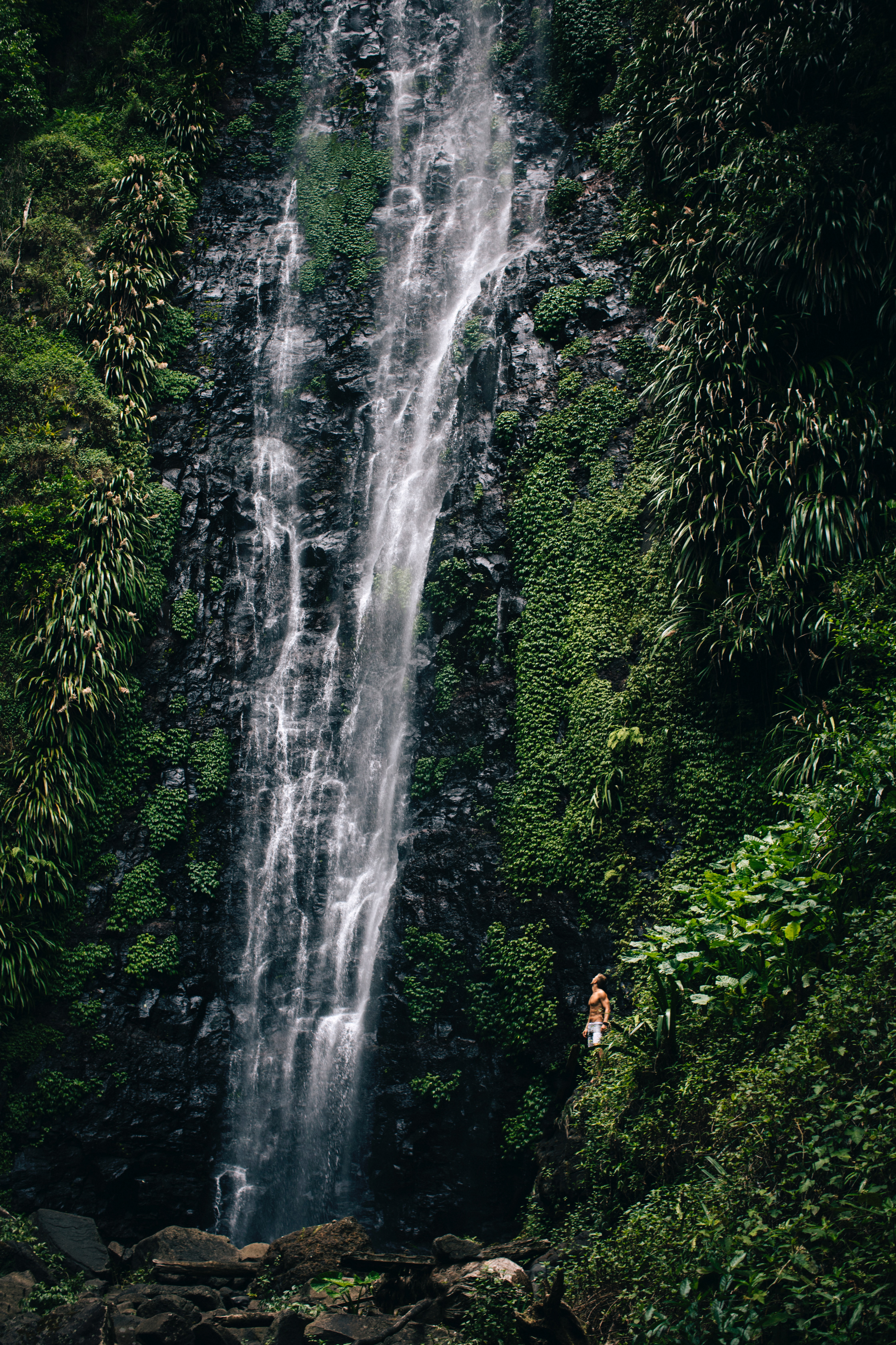 matt-brockie-VM5DQYnnhU0-unsplash