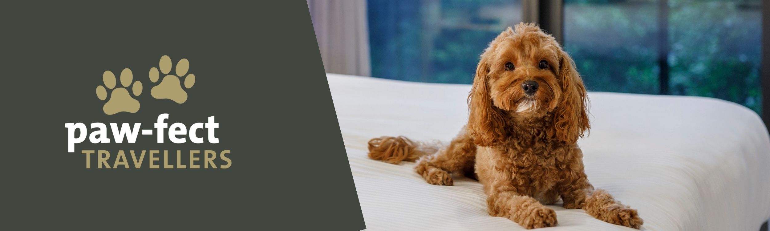 pet friendly accommodation - quest apartment hotels - 1
