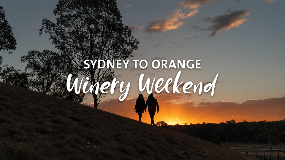 169 - Road Trips - Winery Weekend