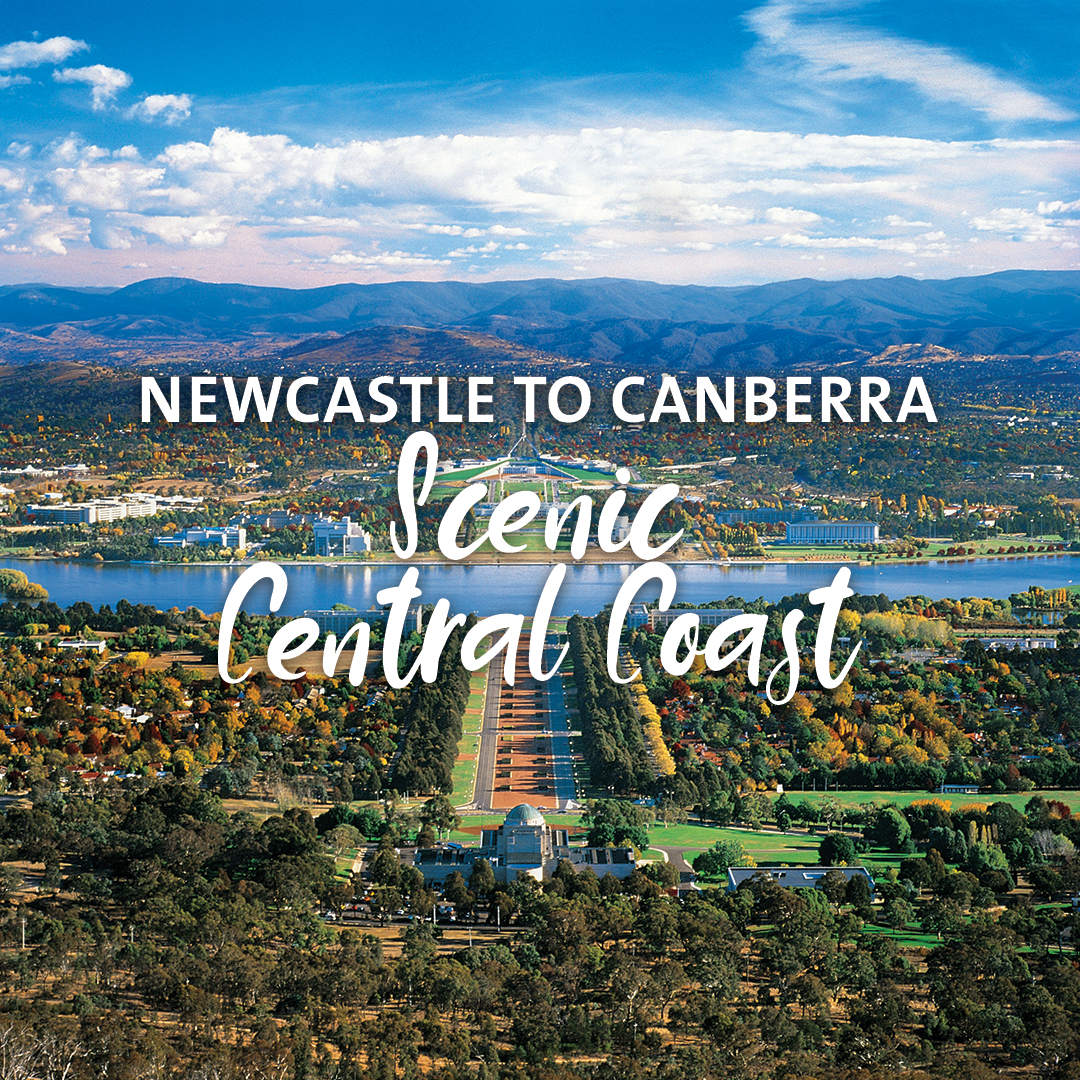 Road Trips - Scenic Central Coast