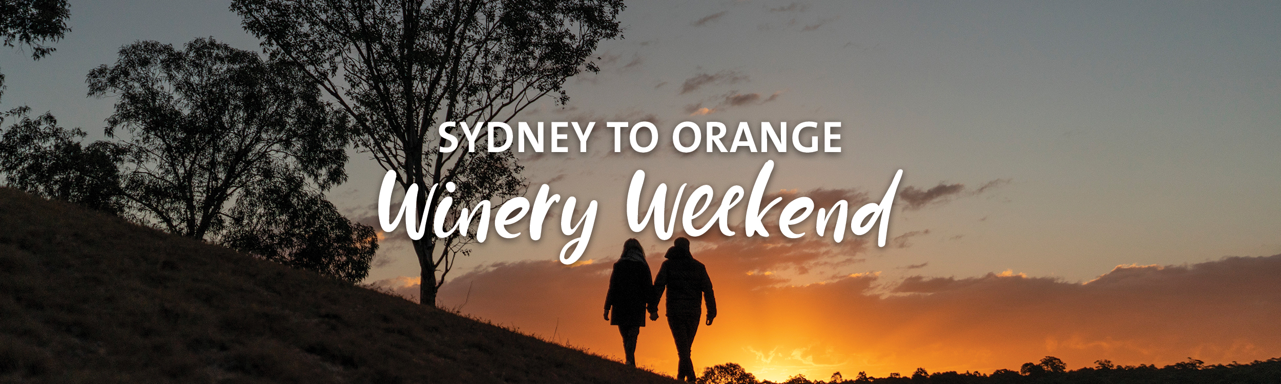 Sydney to Orange Road Trip
