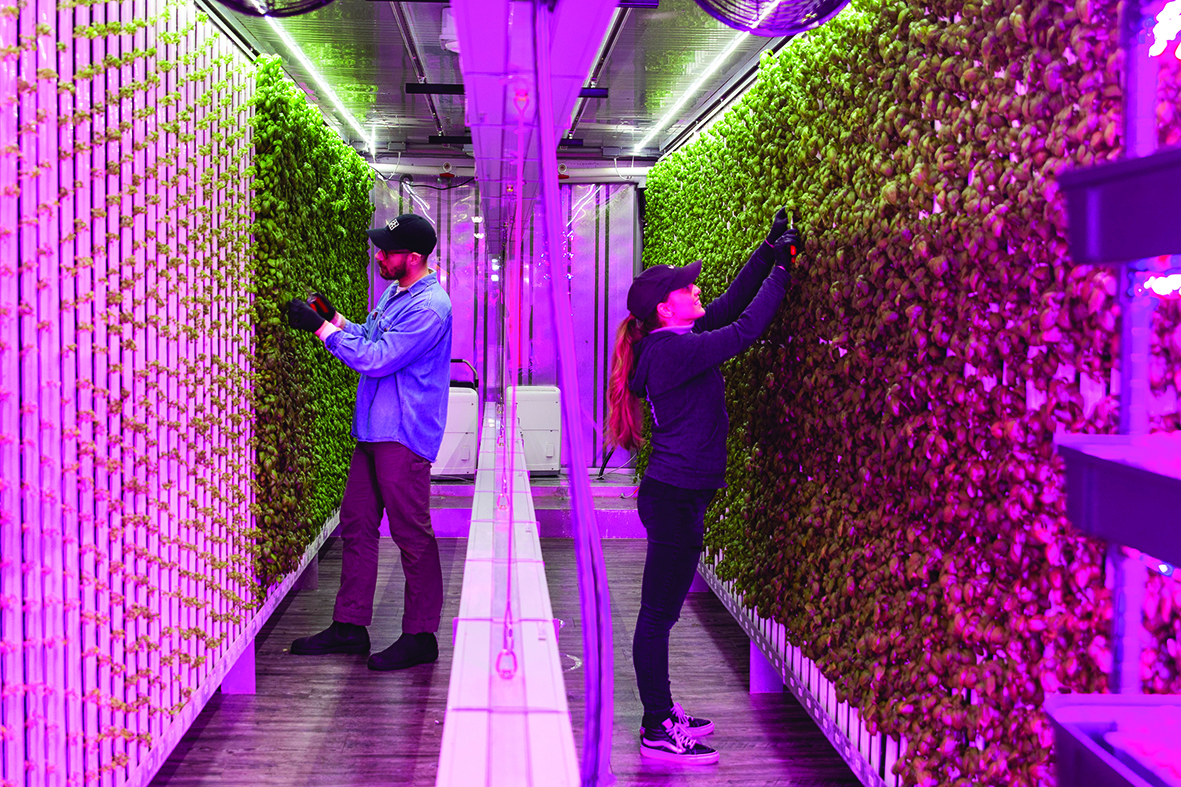 The Future of Food_1_Square_Roots_ The Future of Food_1_Square_Roots_