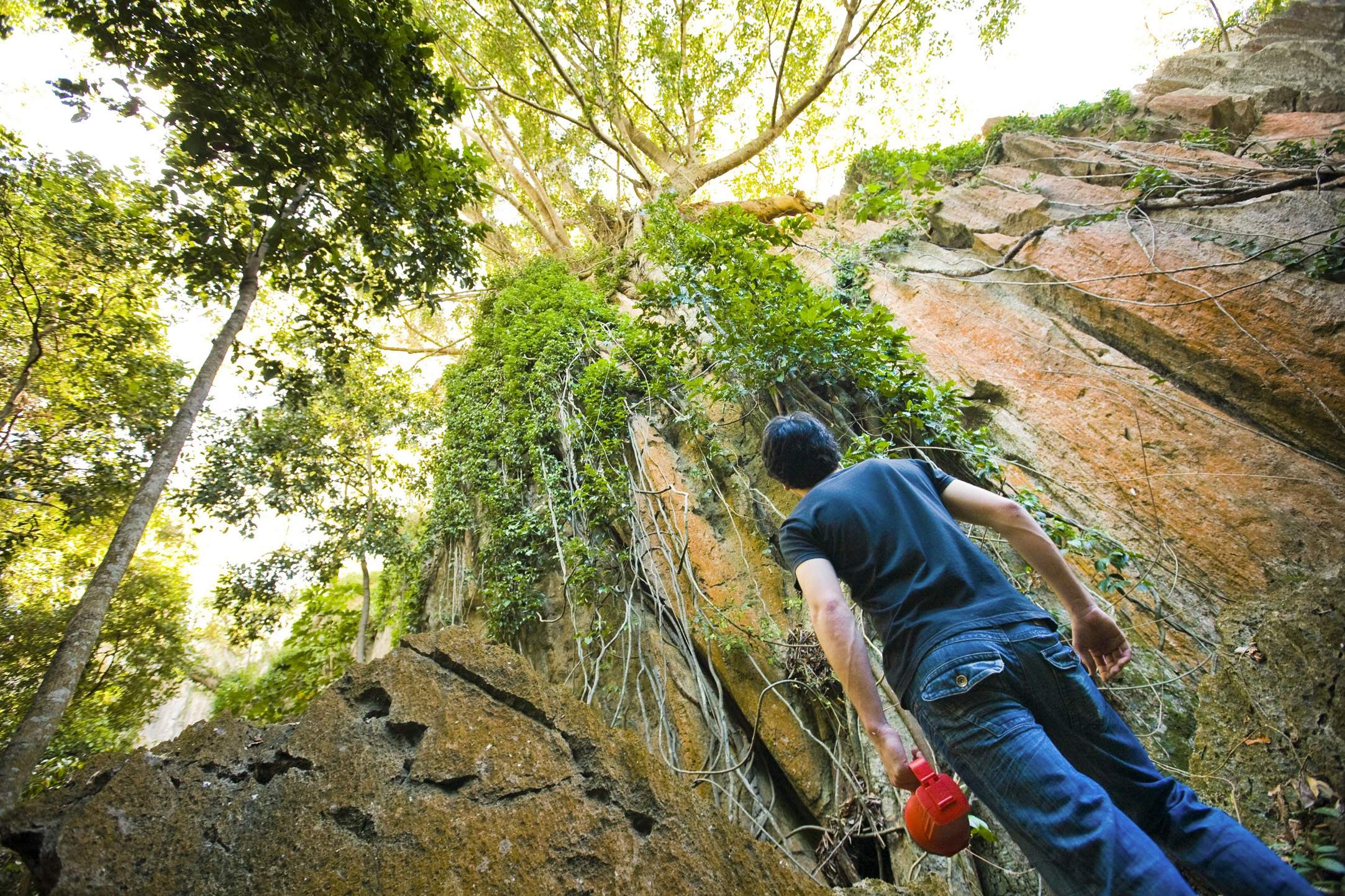 Queensland Golden Days - Rockhampton