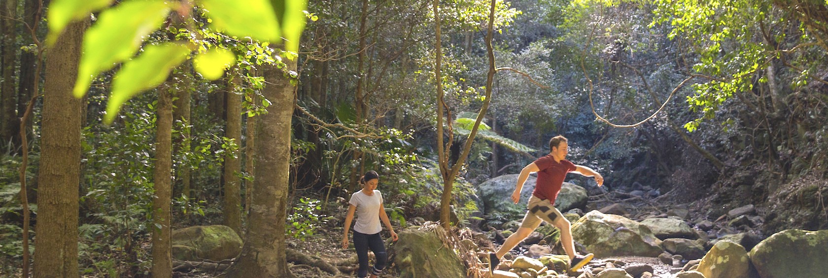 Explore Wollongong