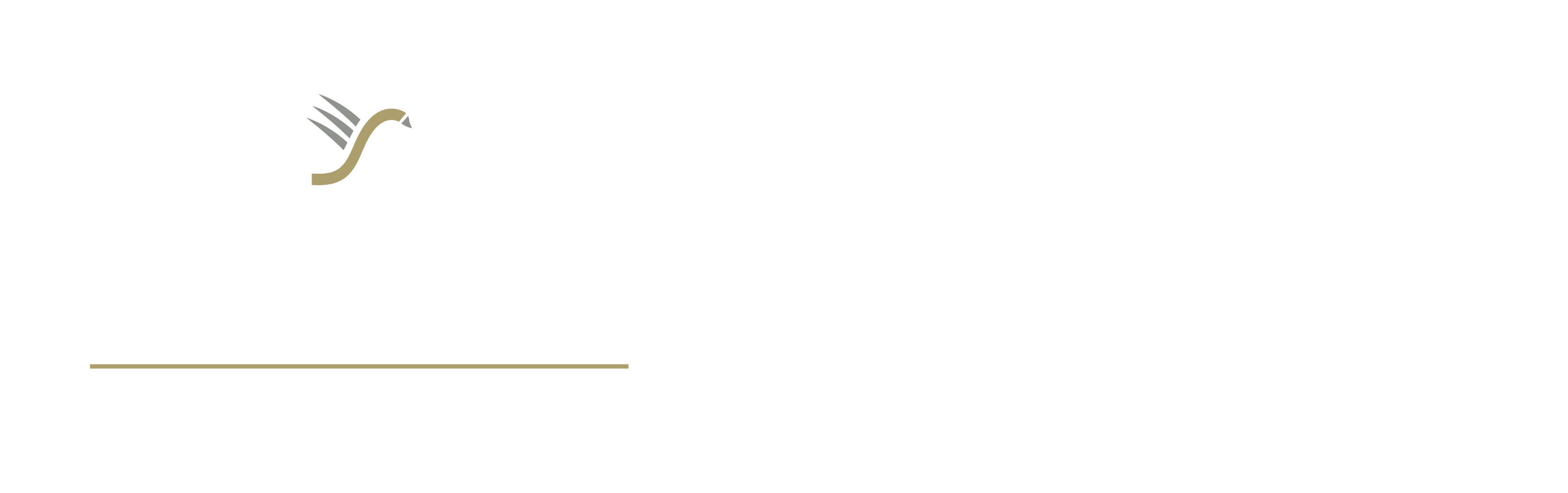 QAH-HHTY-Logo-lockup-stacked