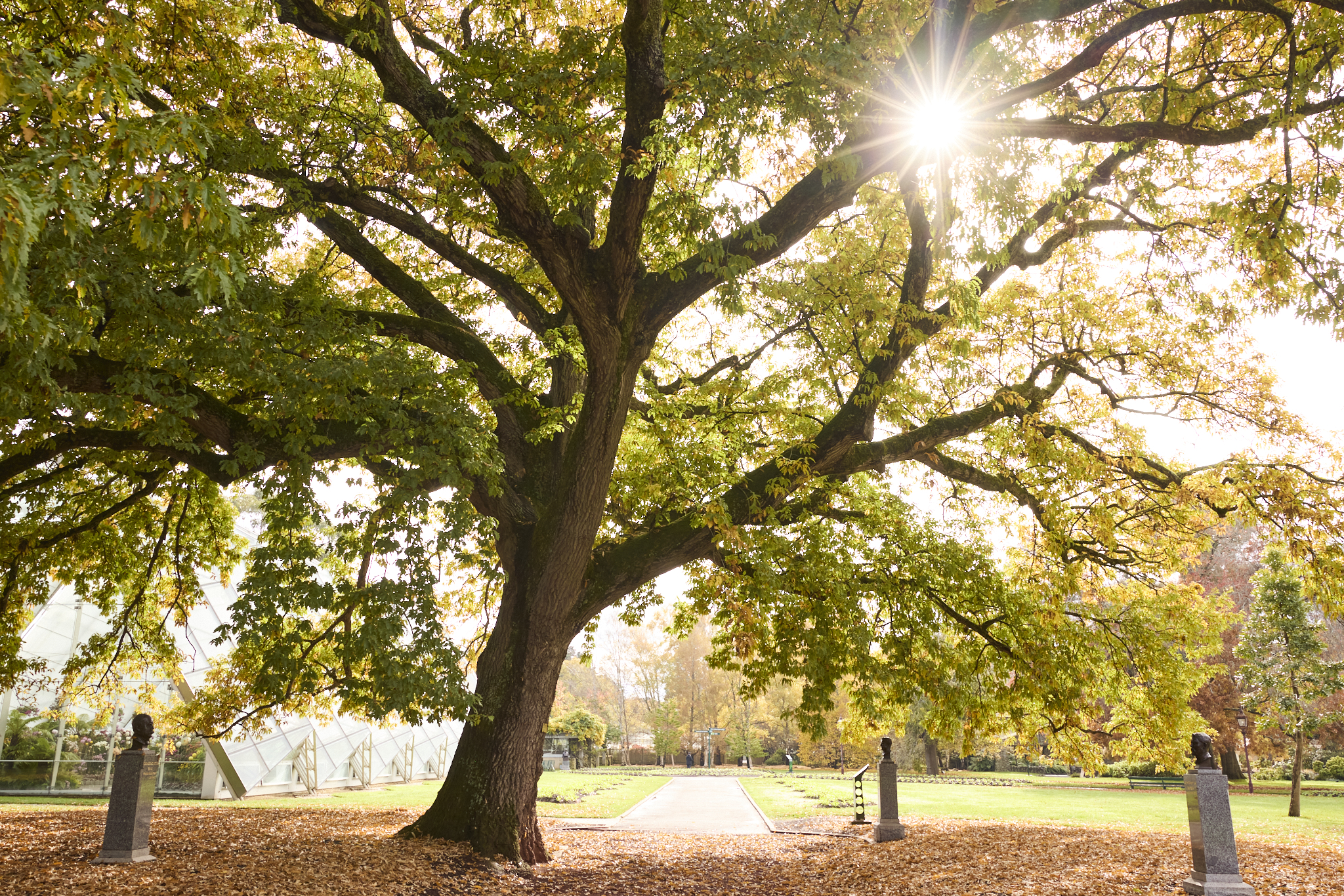 240508-Quest-Botanical-Gardens-2196