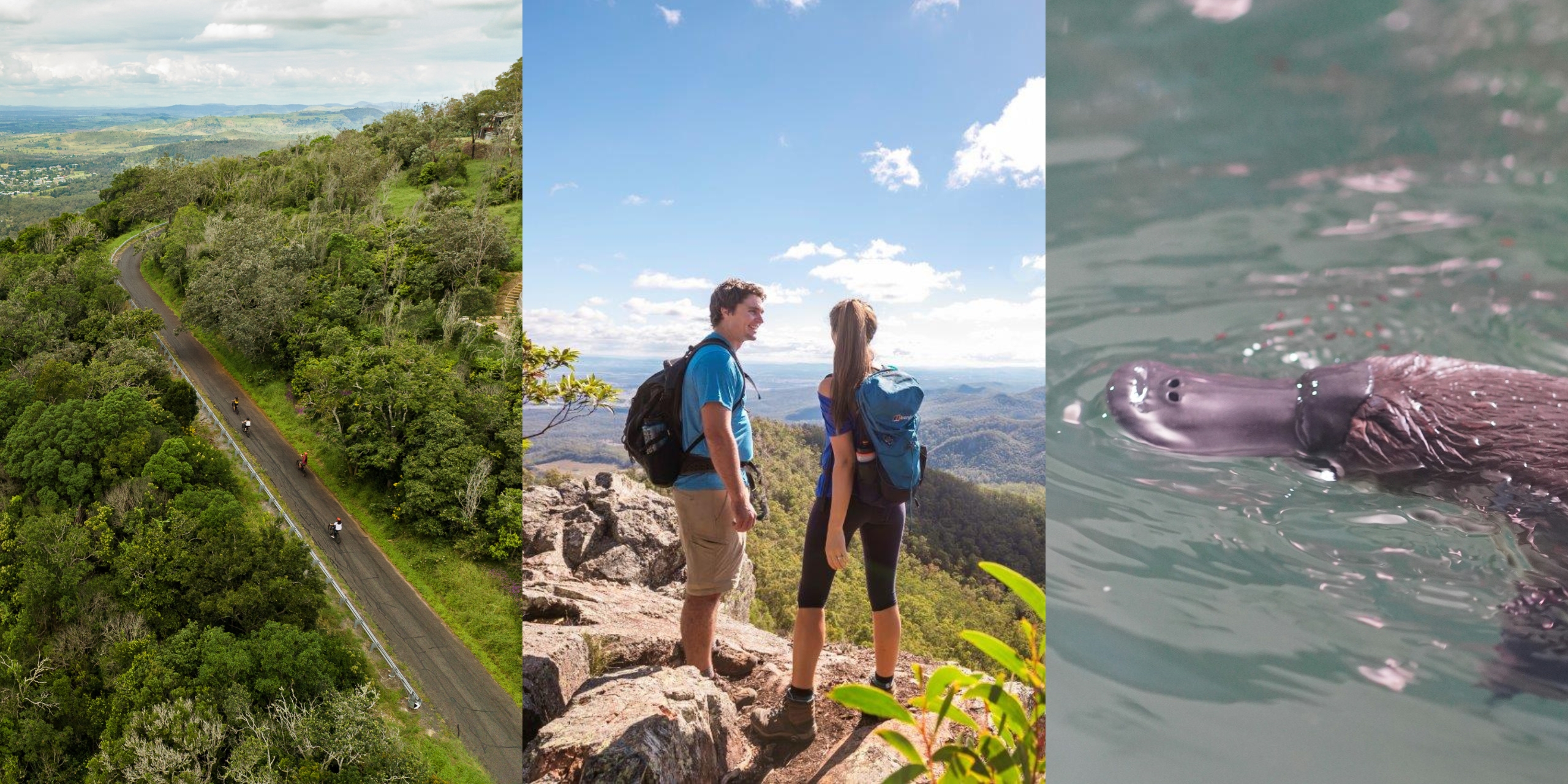 Darling Downs to Tropical Treasures