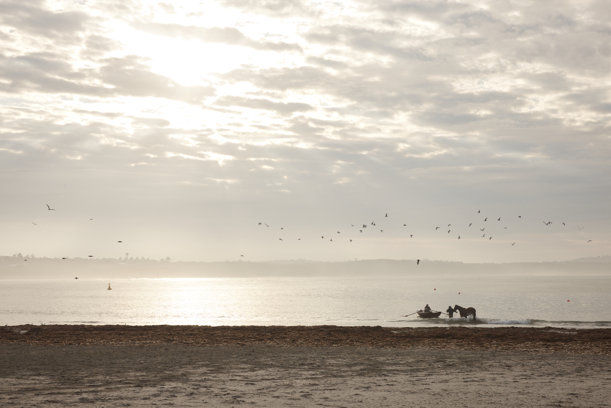 Explore Warrnambool